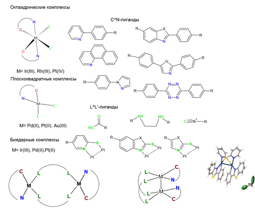 Дизайн и синтез циклометаллированных комплексов платиновых металлов с заданными оптическими и электрохимическими характеристиками